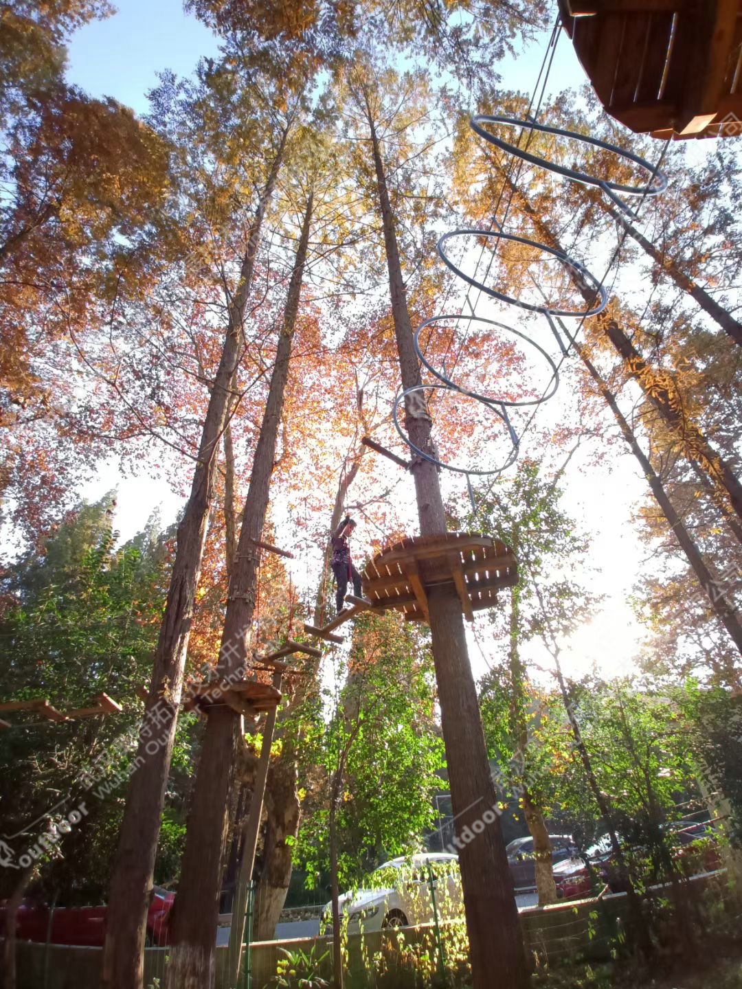 兴茂集团树上探险(图2)