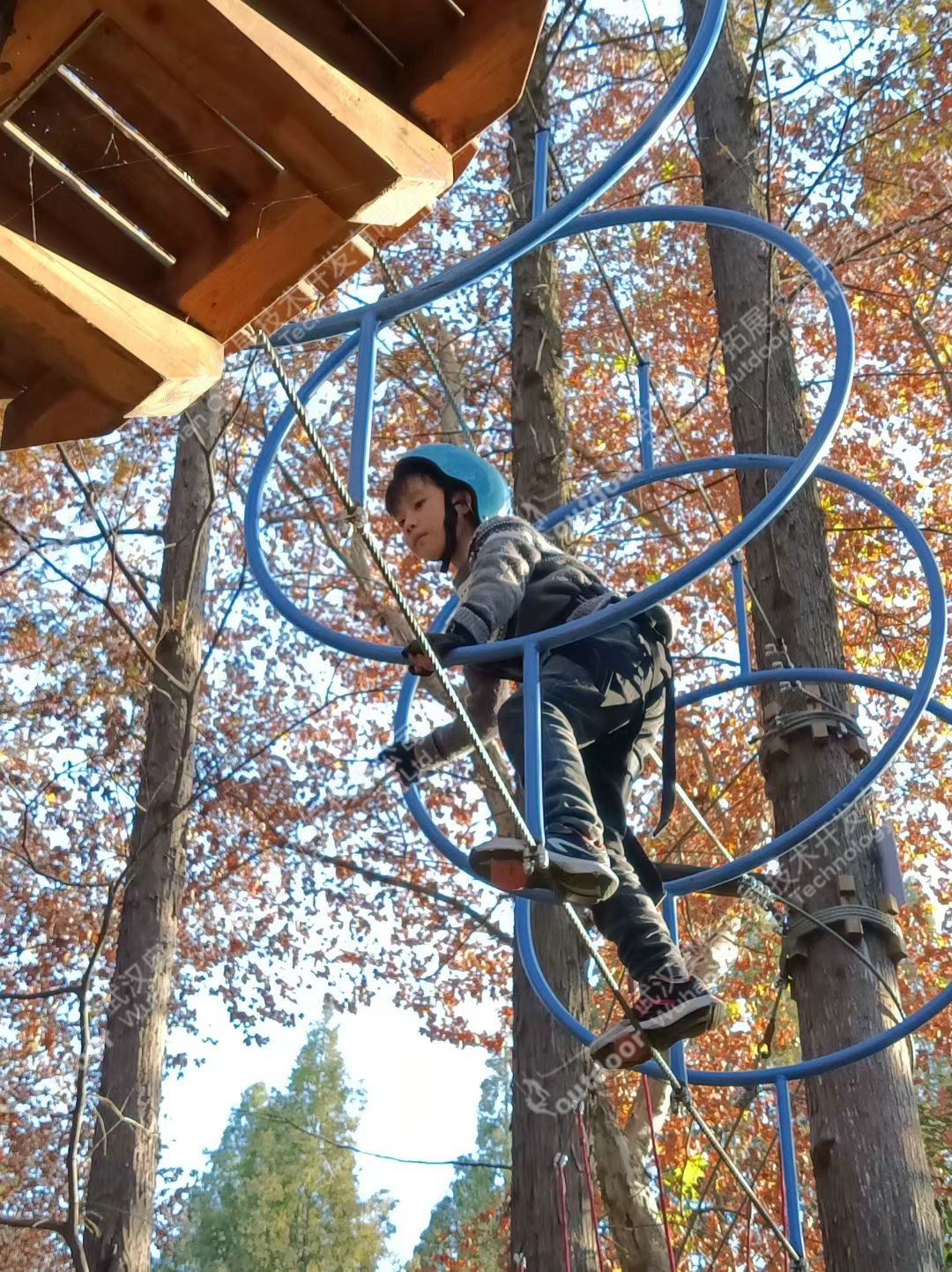 兴茂集团树上探险(图3)